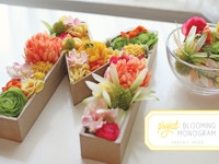 ArchiEli Blooming Monogram